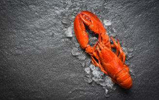 Image of Lobster