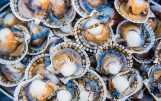 Image of Scallops