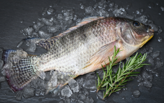 Image of Tilapia