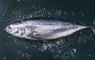Image of Tuna