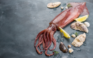 Image of Squid
