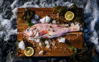 Image of Alaska Rockfish