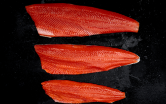 Image of Alaska Salmon
