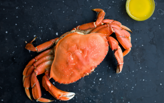 Image of Crab